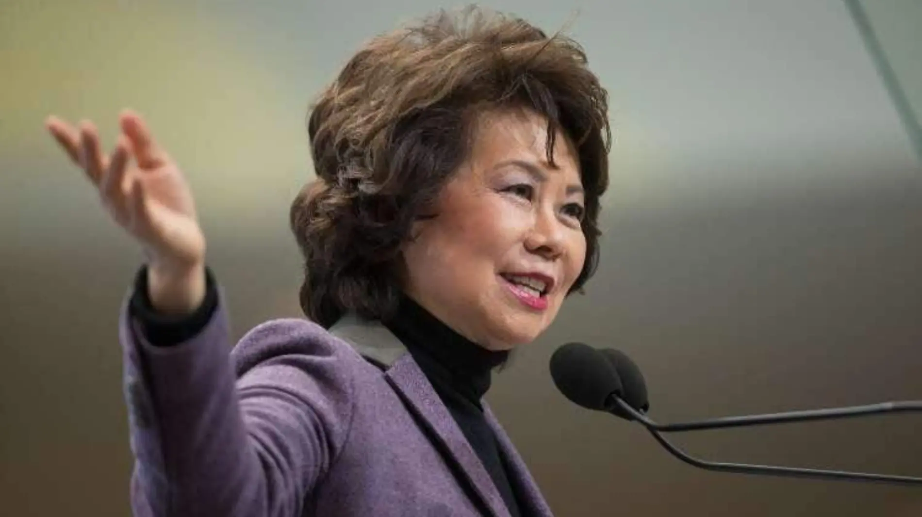 Elaine Chao